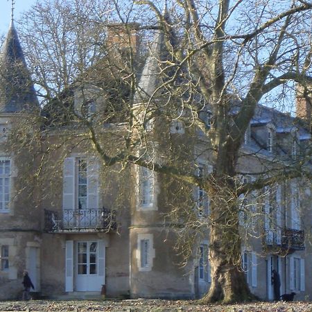 Chateau D'Island Vezelay Pontaubert Dış mekan fotoğraf
