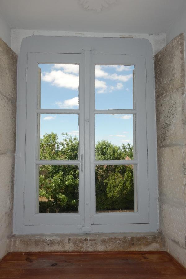 Chateau D'Island Vezelay Pontaubert Dış mekan fotoğraf
