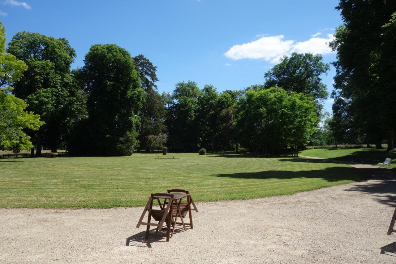Chateau D'Island Vezelay Pontaubert Dış mekan fotoğraf