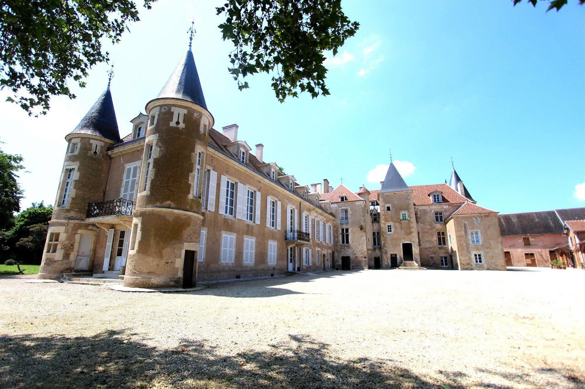 Chateau D'Island Vezelay Pontaubert Dış mekan fotoğraf