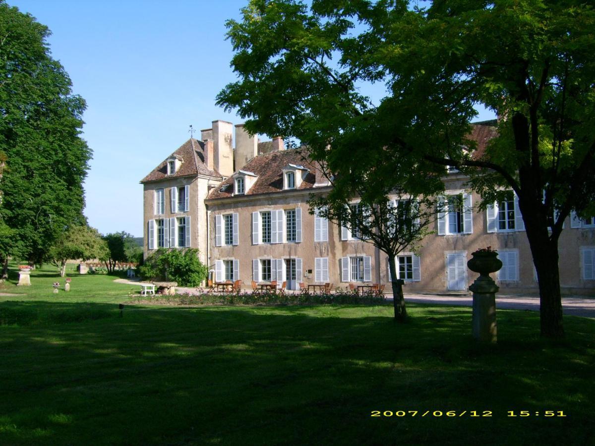 Chateau D'Island Vezelay Pontaubert Dış mekan fotoğraf