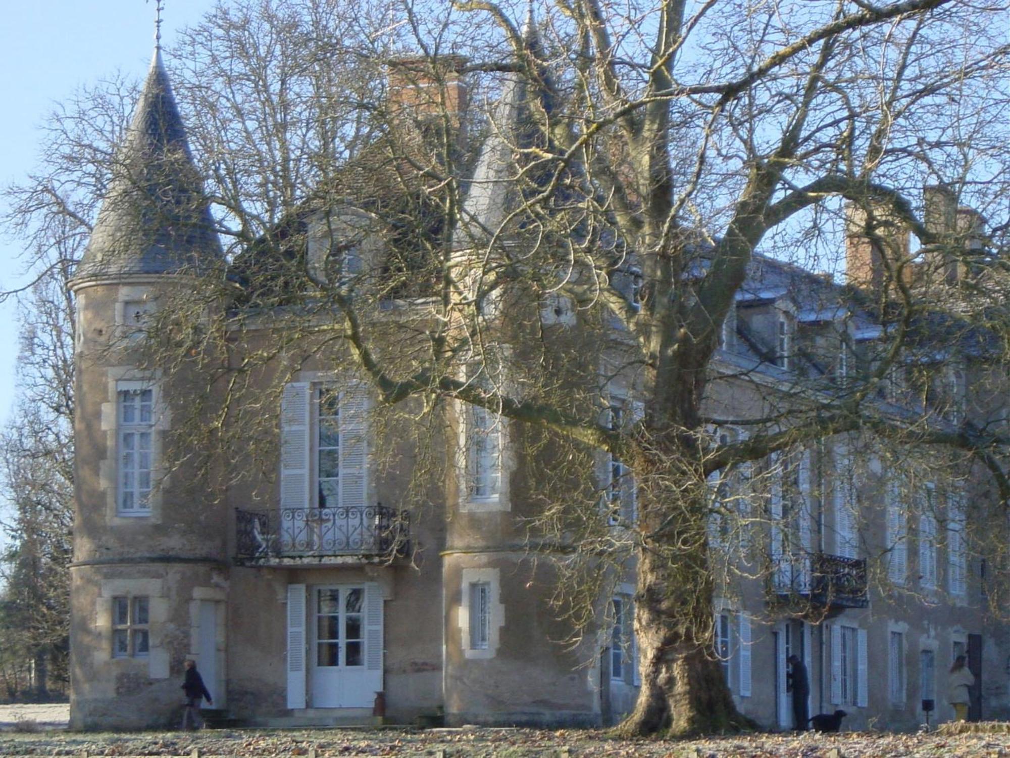 Chateau D'Island Vezelay Pontaubert Dış mekan fotoğraf