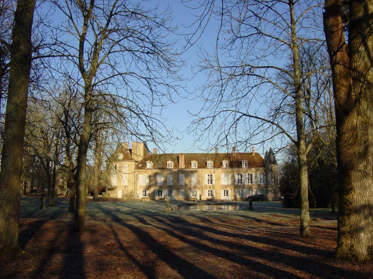 Chateau D'Island Vezelay Pontaubert Dış mekan fotoğraf