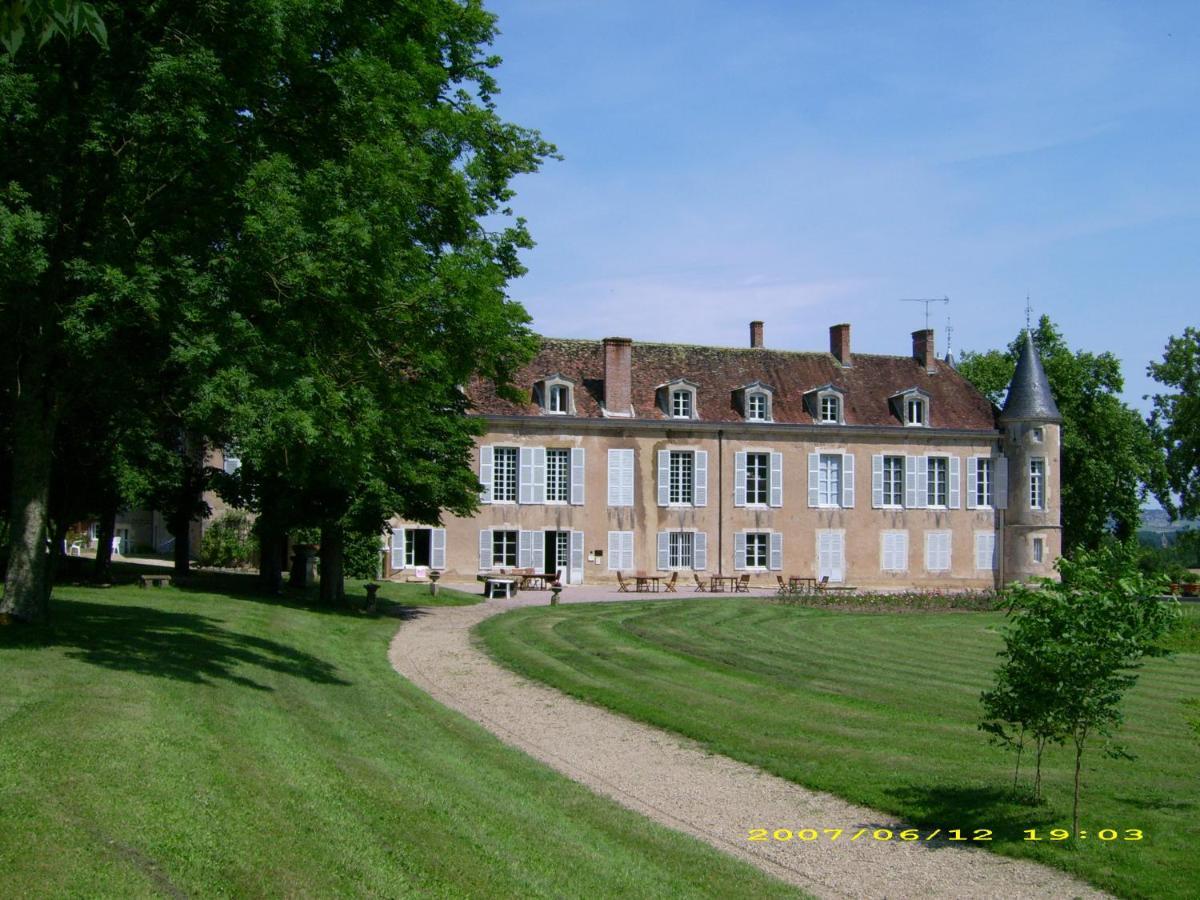 Chateau D'Island Vezelay Pontaubert Dış mekan fotoğraf