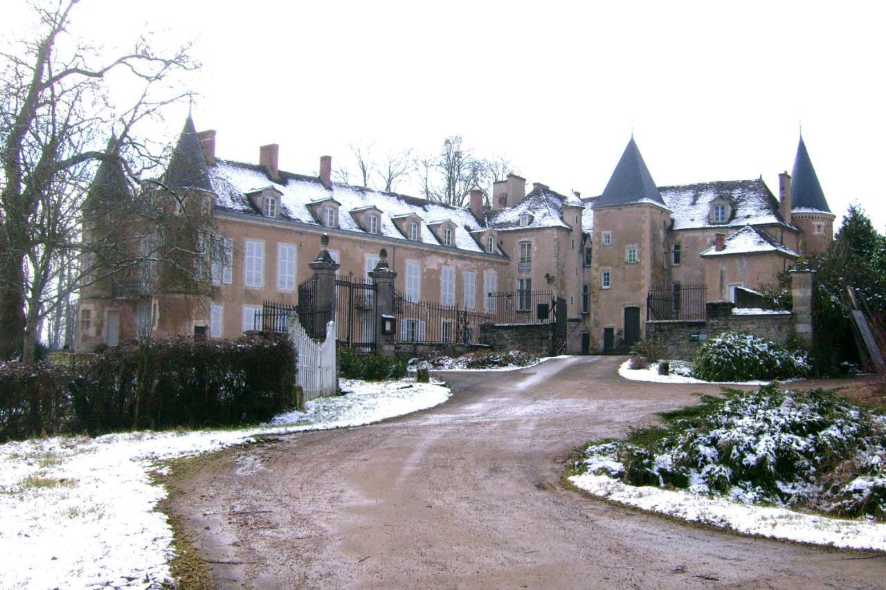 Chateau D'Island Vezelay Pontaubert Dış mekan fotoğraf