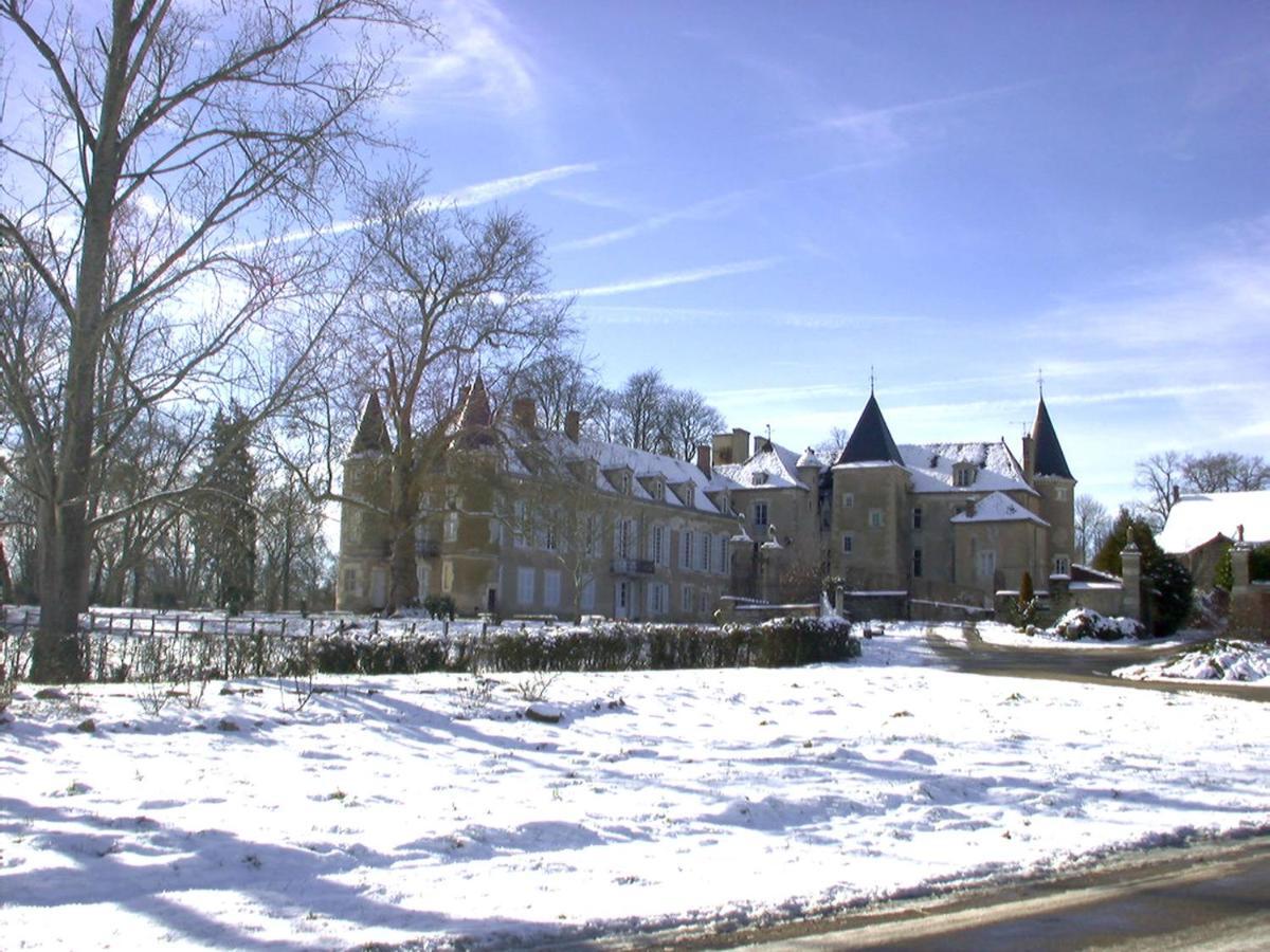 Chateau D'Island Vezelay Pontaubert Dış mekan fotoğraf